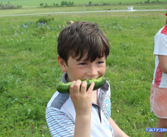 ���������� ����� 54