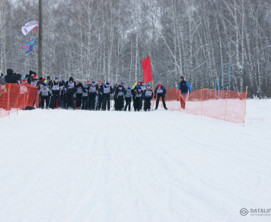 ����� ������ 3