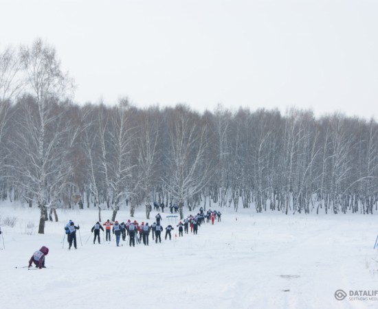 ����� ������ 4