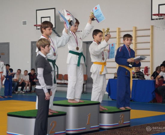 ���������� ����� 46