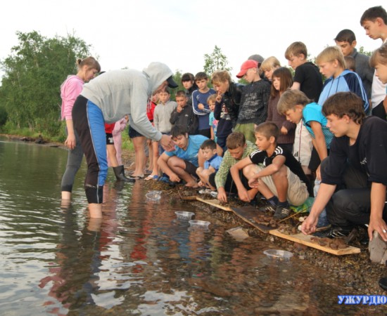 ������ ������ 2012 7