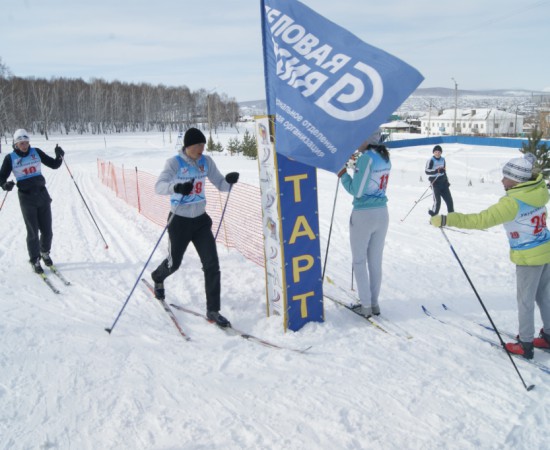 �������� 33