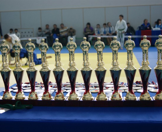 VI  �������� ���������� �� ����� 54