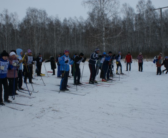 ����� ������ 2014 1