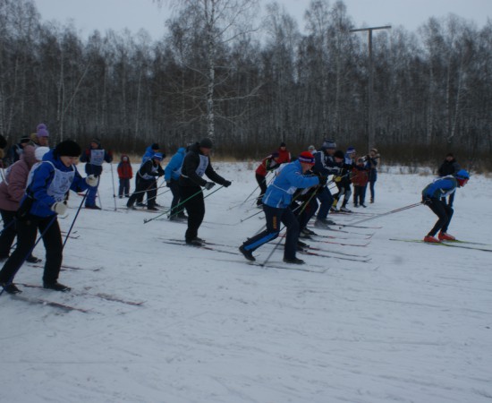 ����� ������ 2014 2