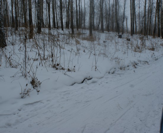 ����� ������ 2014 9