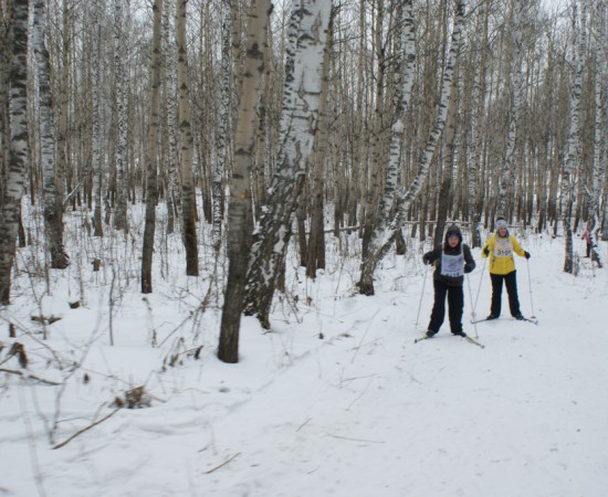 ����� ������ 2014 10