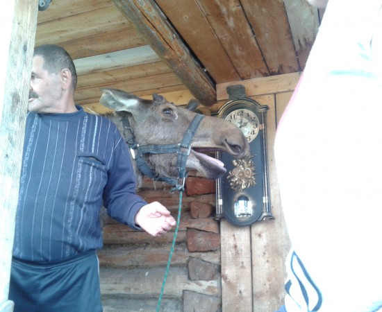 ������ ������ 2