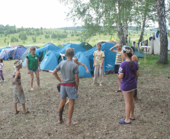 ������ ������ 113