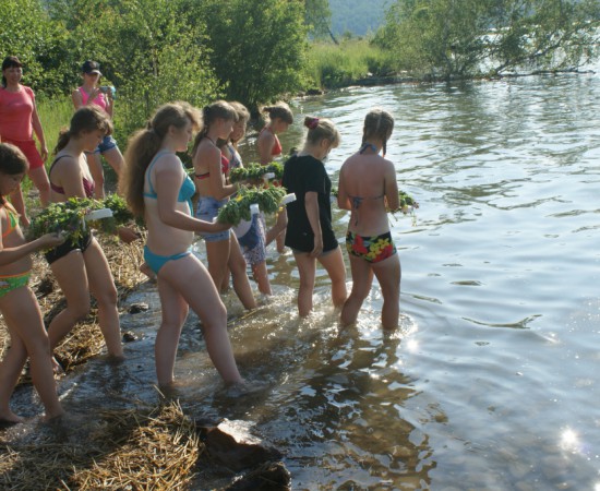 ������ ������ 221