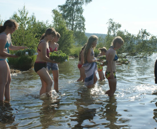 ������ ������ 222