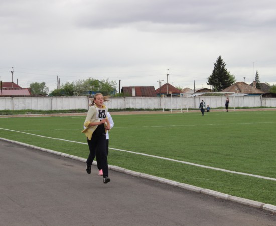 ������ ���������� �������� ���������� ����� �� ����� ���������� ���������� 2017 ���. 48