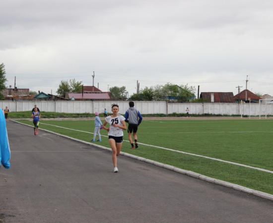 ������ ���������� �������� ���������� ����� �� ����� ���������� ���������� 2017 ���. 49