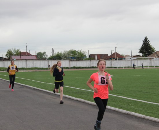 ������ ���������� �������� ���������� ����� �� ����� ���������� ���������� 2017 ���. 51