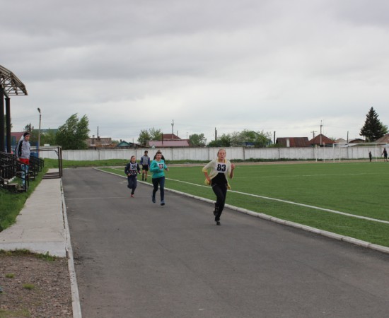 ������ ���������� �������� ���������� ����� �� ����� ���������� ���������� 2017 ���. 55