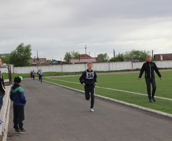 ������ ���������� �������� ���������� ����� �� ����� ���������� ���������� 2017 ���. 61