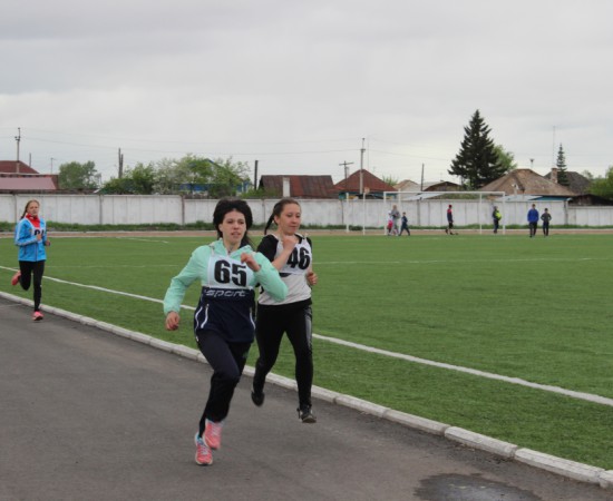 ������ ���������� �������� ���������� ����� �� ����� ���������� ���������� 2017 ���. 65