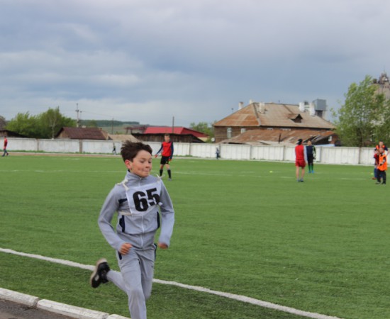 ������ ���������� �������� ���������� ����� �� ����� ���������� ���������� 2017 ���. 77