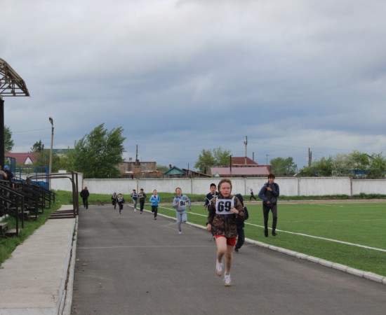 ������ ���������� �������� ���������� ����� �� ����� ���������� ���������� 2017 ���. 80