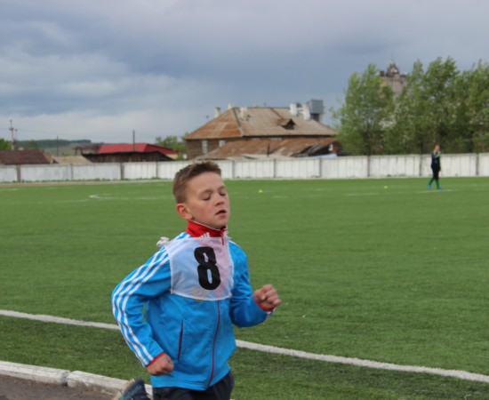 ������ ���������� �������� ���������� ����� �� ����� ���������� ���������� 2017 ���. 81