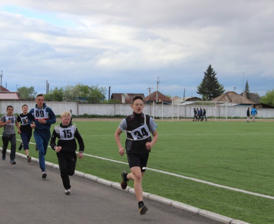 ������ ���������� �������� ���������� ����� �� ����� ���������� ���������� 2017 ���. 87