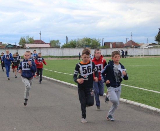 ������ ���������� �������� ���������� ����� �� ����� ���������� ���������� 2017 ���. 88