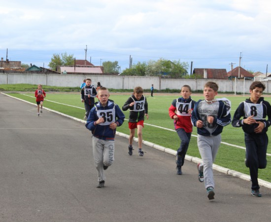 ������ ���������� �������� ���������� ����� �� ����� ���������� ���������� 2017 ���. 89