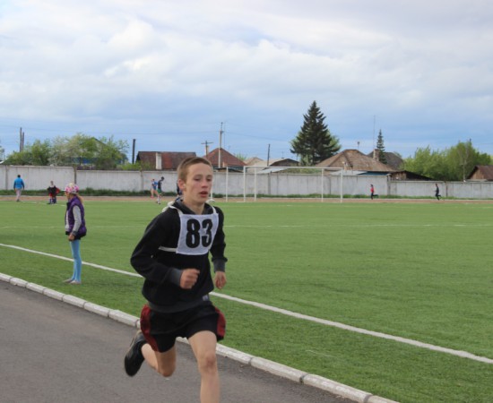 ������ ���������� �������� ���������� ����� �� ����� ���������� ���������� 2017 ���. 99