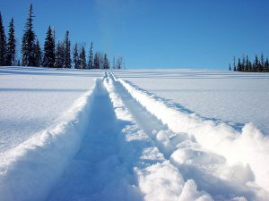 �������� ������� ������-2012