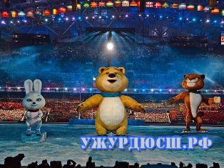 ������� ������� ����!