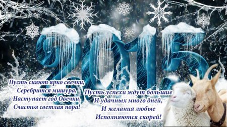 � ����� 2015 �����