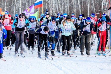 ����� ������ 2015