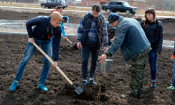 ��� ������