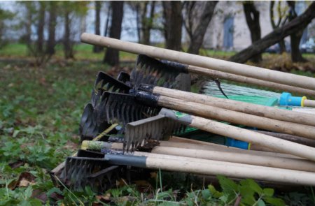 ����������� ������ ������