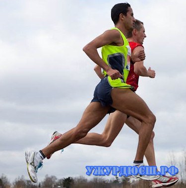 ����������������� ������.