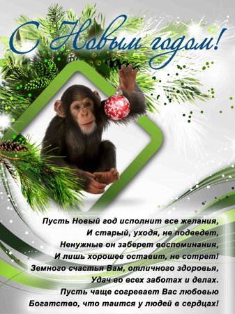 � ����� �����!