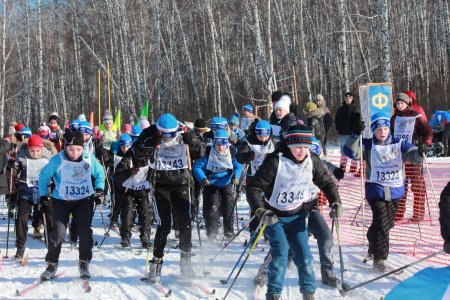 ����� ������ 2016