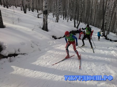 "�������� ������ 2017"