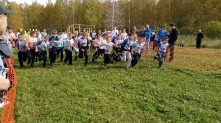 ����� �����-2017