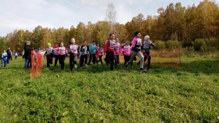 ����� �����-2017