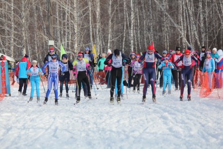 ����� ������ - 2018