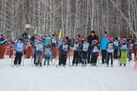 ����� ������ - 2018