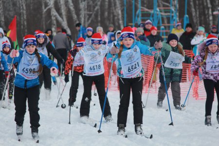 ����� ������ - 2018