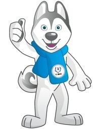 ����������� 2019