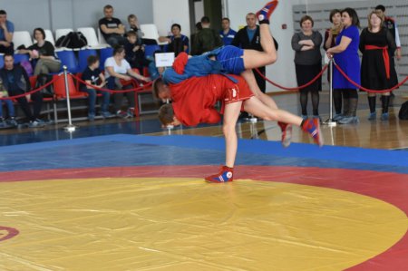 ���������� ������������� ���� �� �����, ������ ������ ����� ��������