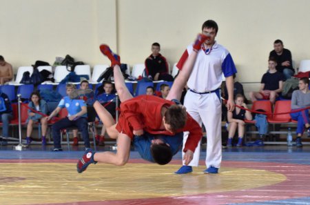 ���������� ������������� ���� �� �����, ������ ������ ����� ��������