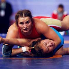 55 ������� �� XXXI ������������� �������