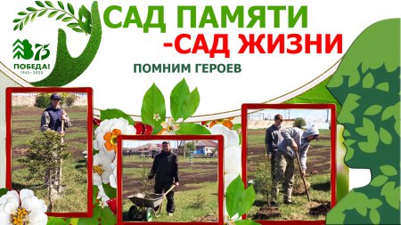 ��� ������-��� �����