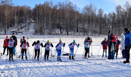 �������� ������� ������ 2022-2023