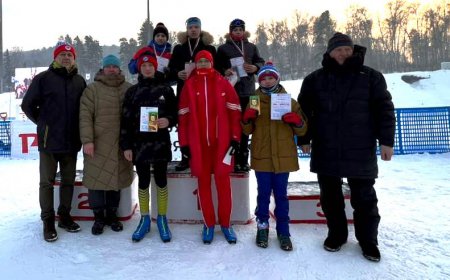 ������� ������������ �� ������ ������